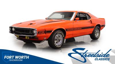 1969 Ford Mustang Shelby GT350 CSS