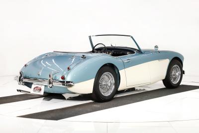 1959 Austin - Healey 3000