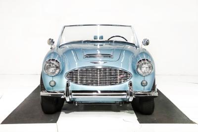 1959 Austin - Healey 3000