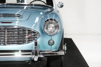 1959 Austin - Healey 3000