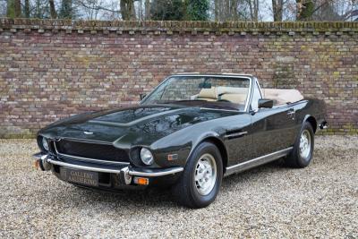 1981 Aston Martin V8 Volante 5.3 V8