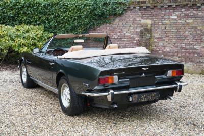 1981 Aston Martin V8 Volante 5.3 V8