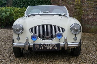 1955 Austin - Healey 100/4 BN1