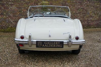 1955 Austin - Healey 100/4 BN1