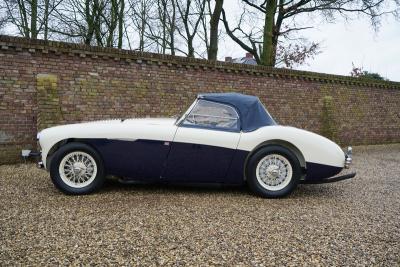 1955 Austin - Healey 100/4 BN1