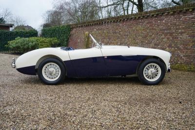 1955 Austin - Healey 100/4 BN1