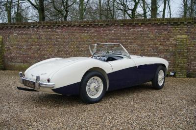 1955 Austin - Healey 100/4 BN1