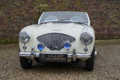 1955 Austin - Healey 100/4 BN1