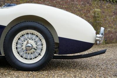 1955 Austin - Healey 100/4 BN1