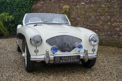 1955 Austin - Healey 100/4 BN1