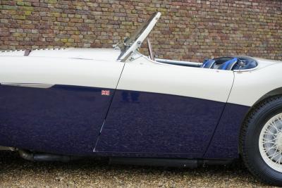 1955 Austin - Healey 100/4 BN1