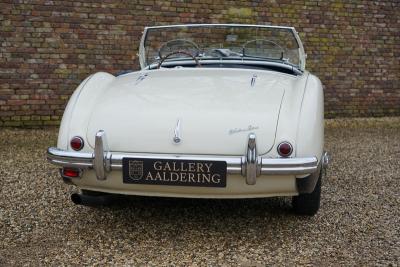 1955 Austin - Healey 100/4 BN1