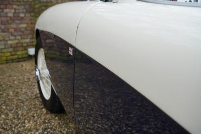 1955 Austin - Healey 100/4 BN1