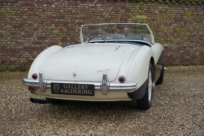 1955 Austin - Healey 100/4 BN1