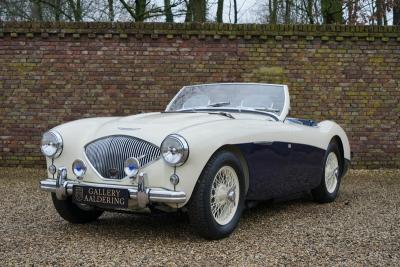 1955 Austin - Healey 100/4 BN1