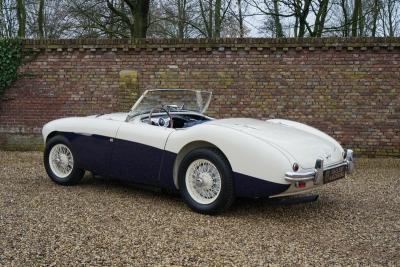 1955 Austin - Healey 100/4 BN1