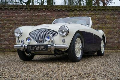 1955 Austin - Healey 100/4 BN1