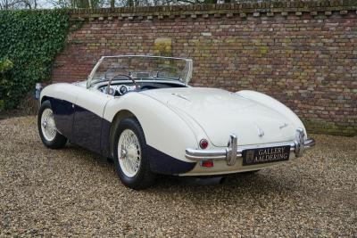 1955 Austin - Healey 100/4 BN1