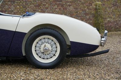 1955 Austin - Healey 100/4 BN1