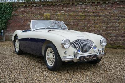 1955 Austin - Healey 100/4 BN1