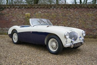 1955 Austin - Healey 100/4 BN1