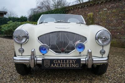 1955 Austin - Healey 100/4 BN1