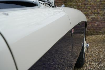 1955 Austin - Healey 100/4 BN1