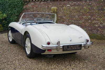 1955 Austin - Healey 100/4 BN1