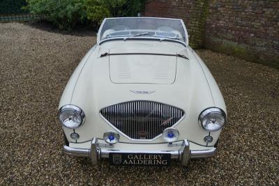 1955 Austin - Healey 100/4 BN1