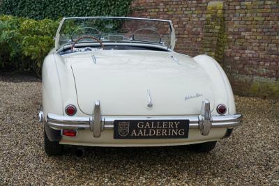 1955 Austin - Healey 100/4 BN1