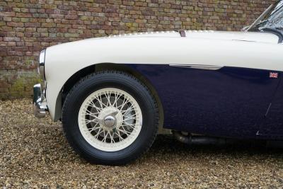 1955 Austin - Healey 100/4 BN1