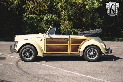 1969 Volkswagen Beetle