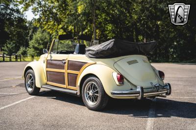 1969 Volkswagen Beetle