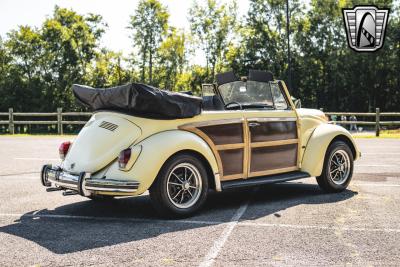 1969 Volkswagen Beetle