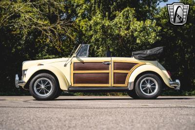 1969 Volkswagen Beetle