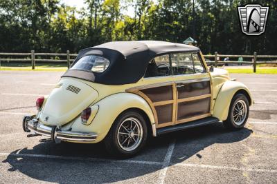 1969 Volkswagen Beetle