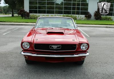 1966 Ford Mustang