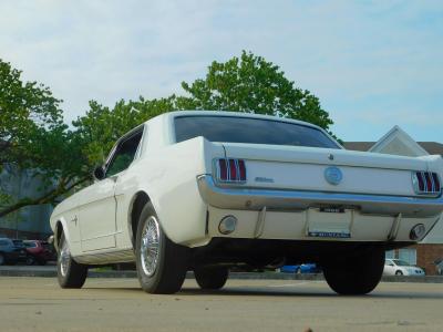 1966 Ford Mustang