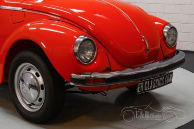 1977 Volkswagen Beetle