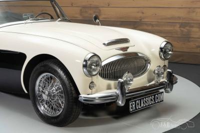 1964 Austin - Healey 3000 MKIII