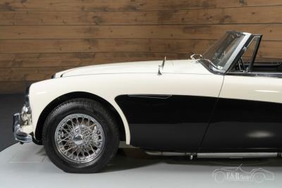 1964 Austin - Healey 3000 MKIII