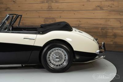 1964 Austin - Healey 3000 MKIII