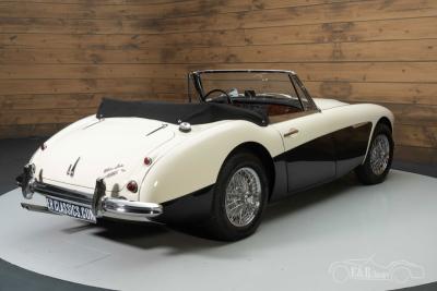 1964 Austin - Healey 3000 MKIII