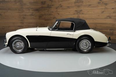 1964 Austin - Healey 3000 MKIII