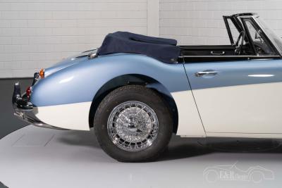 1965 Austin - Healey 3000 MKIII