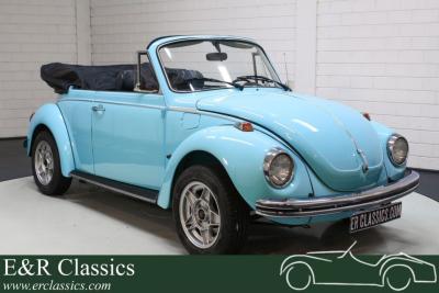 1973 Volkswagen Beetle