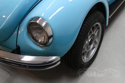 1973 Volkswagen Beetle