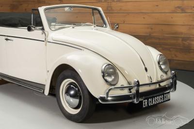 1960 Volkswagen Beetle