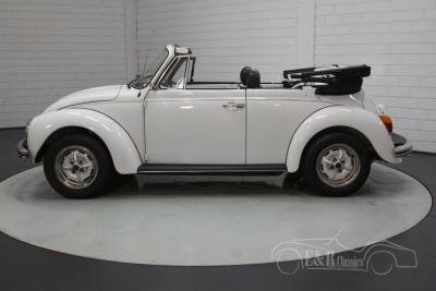 1979 Volkswagen Beetle