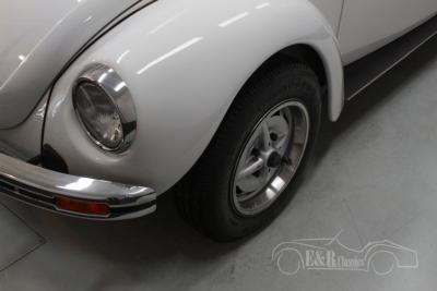 1979 Volkswagen Beetle